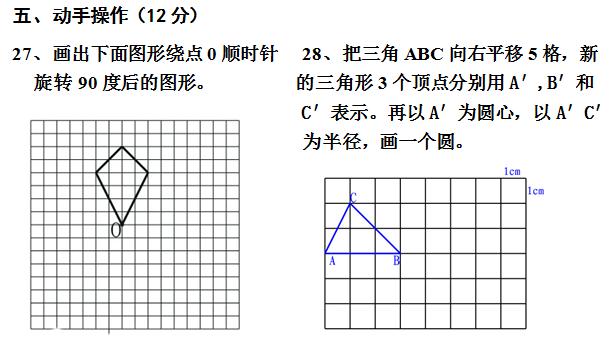 ˽̰꼶²ѧԾ