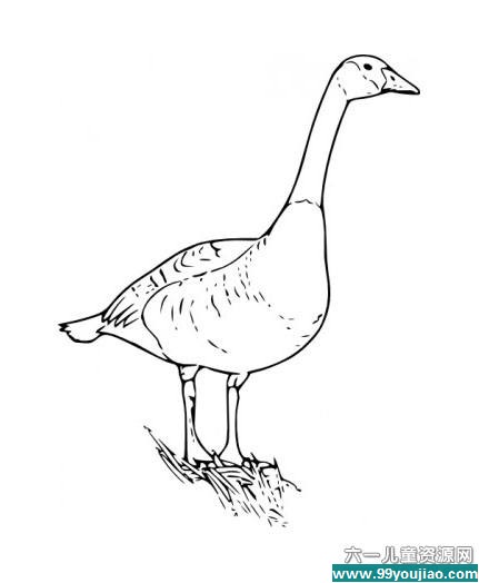 öʻ