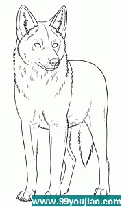 Ǽʻ