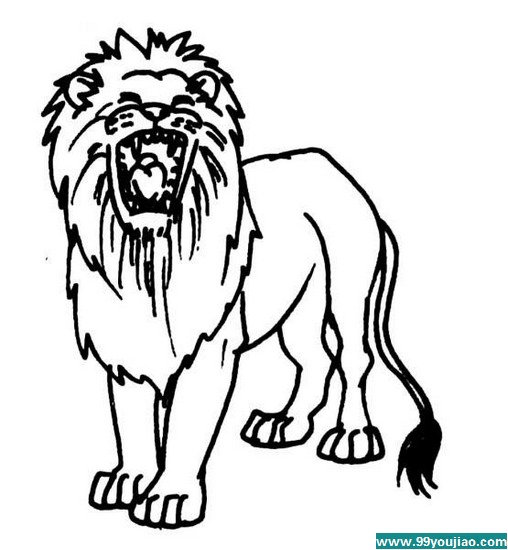 ʻʨ